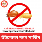 termites control services