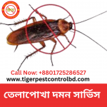 cockroach control services