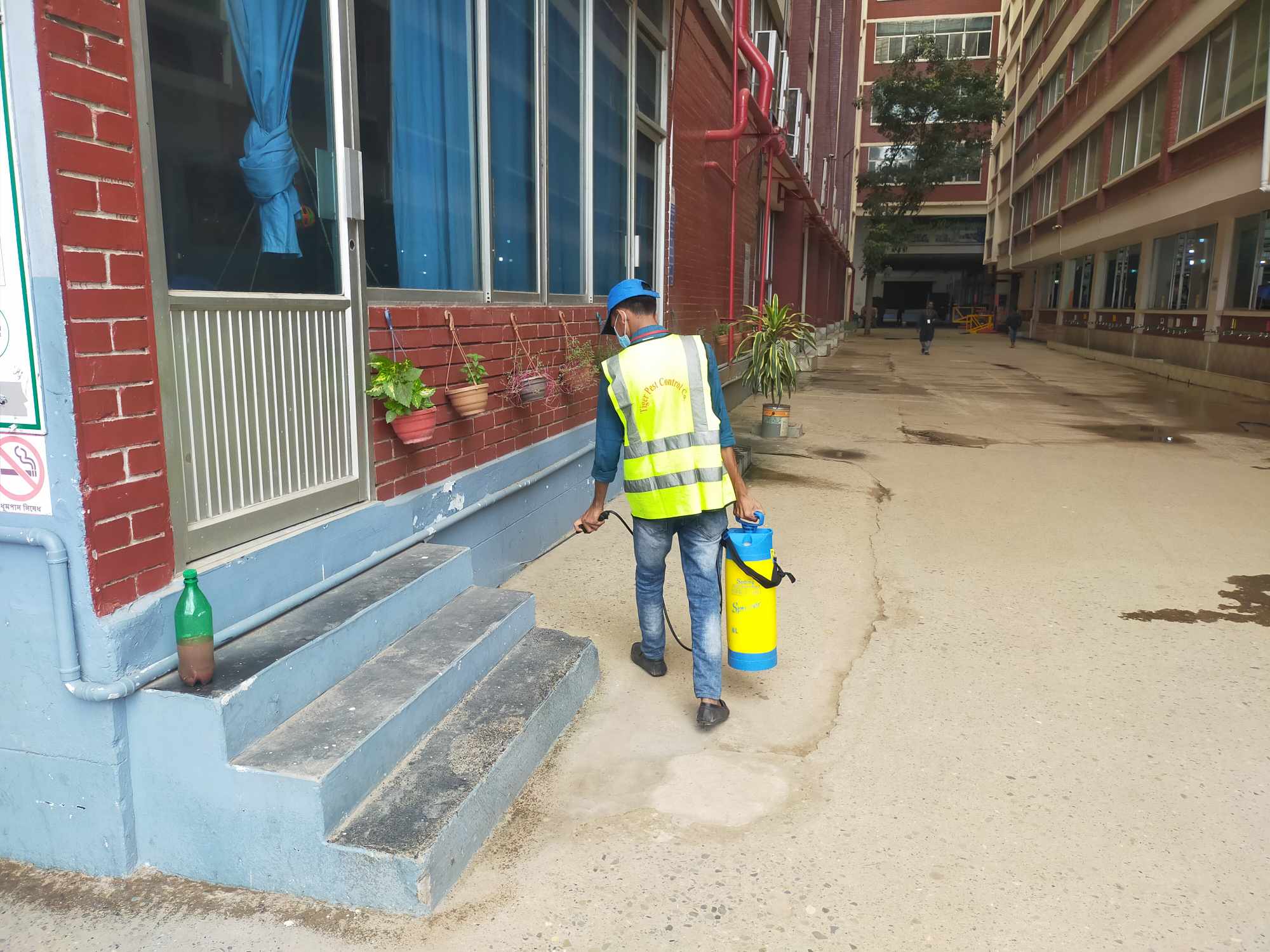 Pest control in Narayanganj