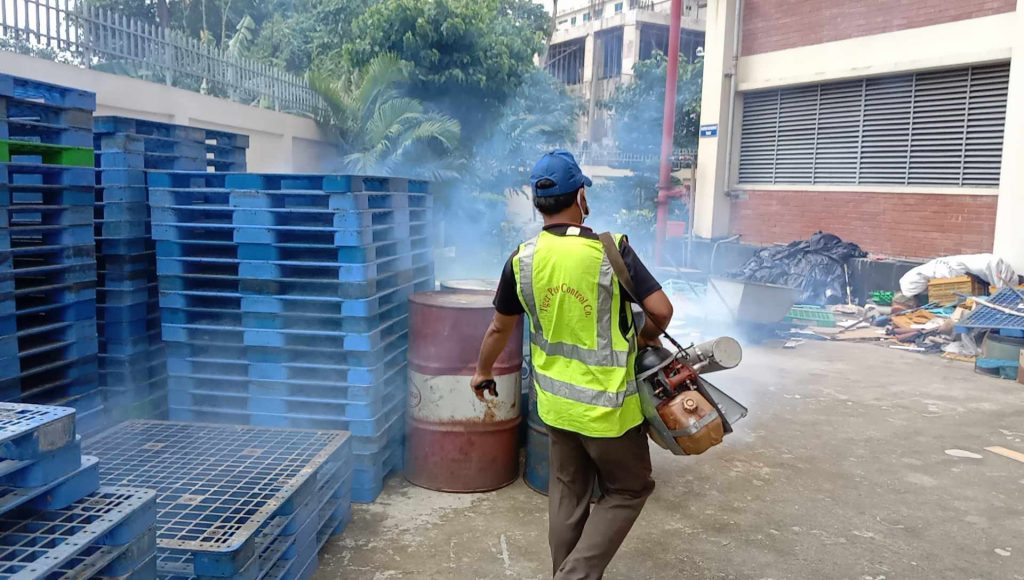 Pest control in Motijheel