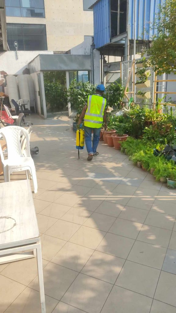 pest control in Gazipur