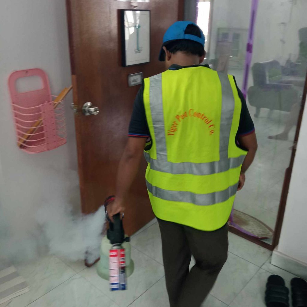 Pest control in Khulna